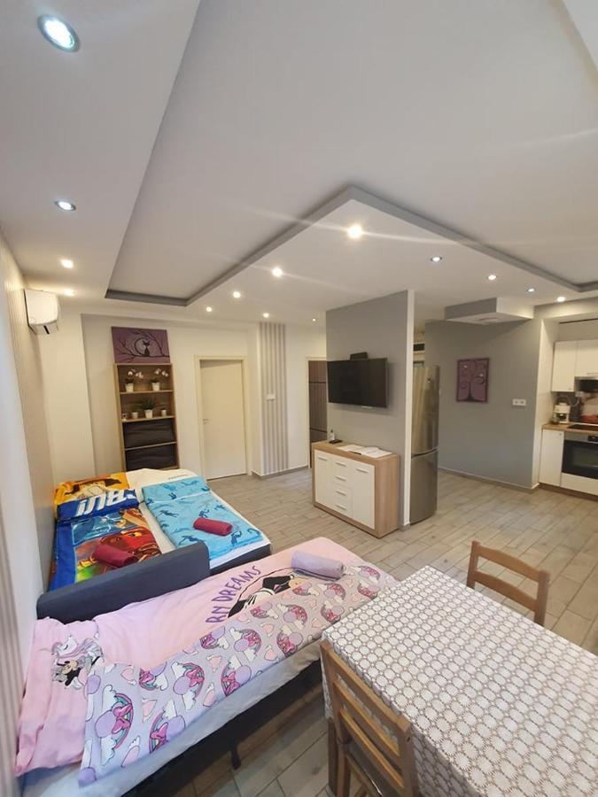 Viola Apartman With Infra Sauna Διαμέρισμα Σέγκεντ Εξωτερικό φωτογραφία